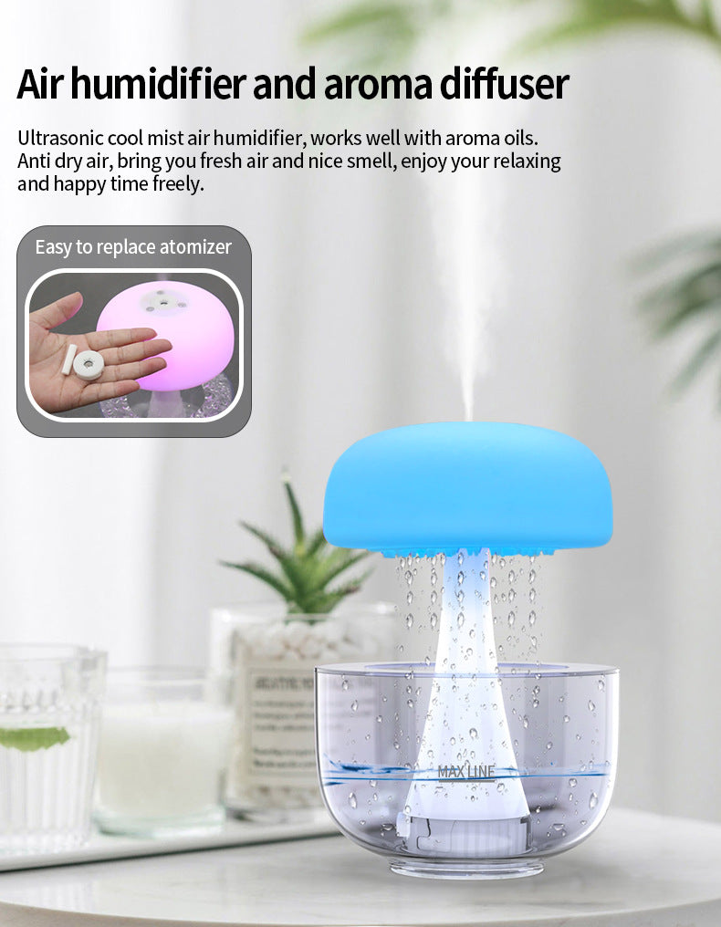 The raining cloud humidifier