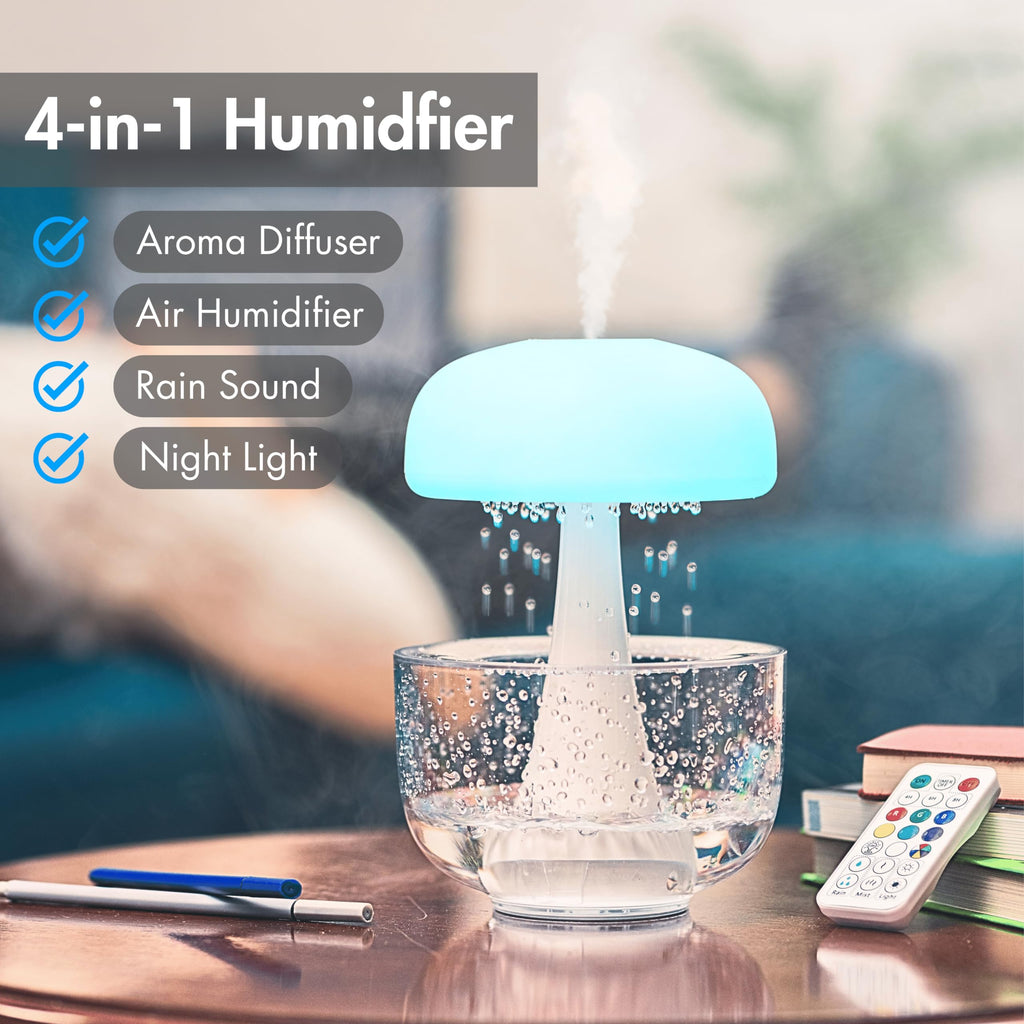 The raining cloud humidifier