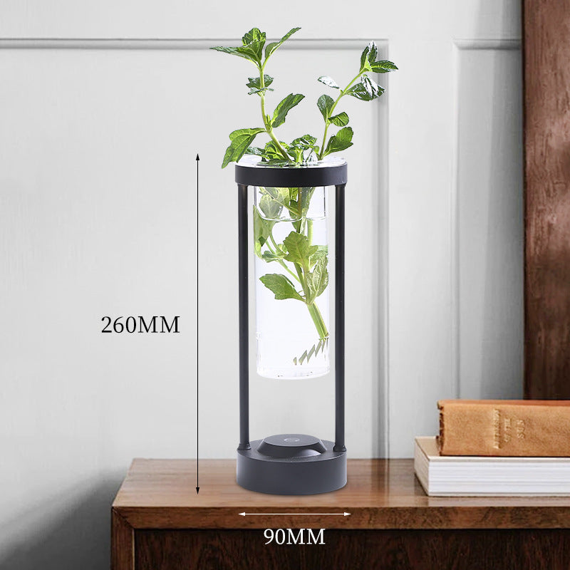 Table Vase, Lamp Transparent Decoration Ambience Light