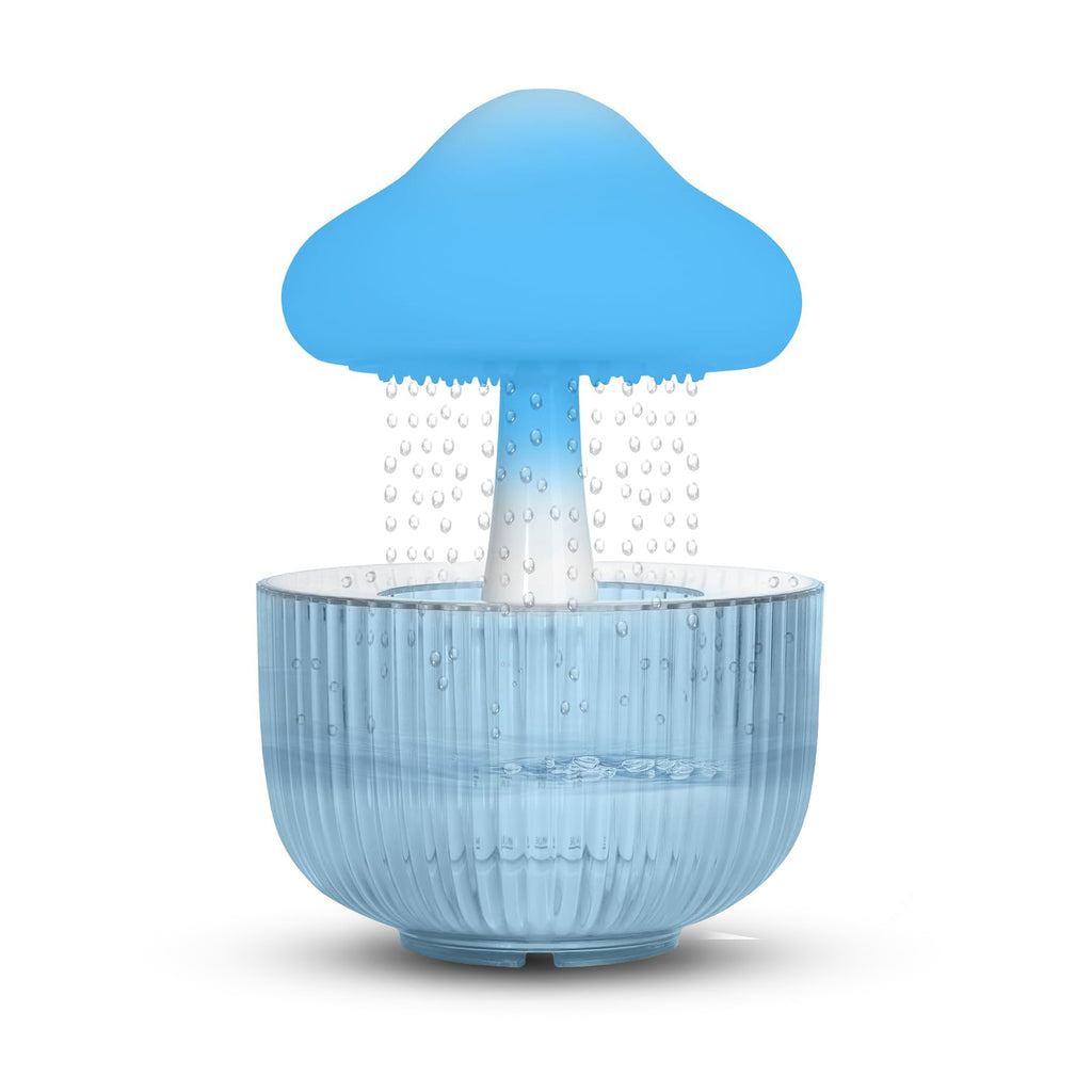 The raining cloud humidifier
