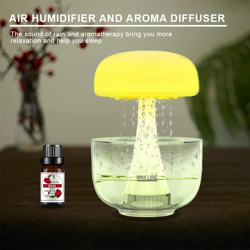 The raining cloud humidifier