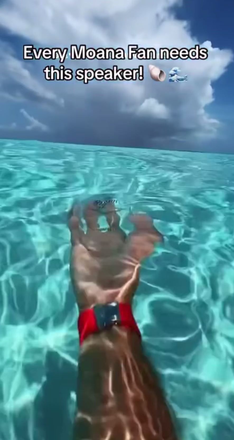 Bluetooth Sea Shell Lamp