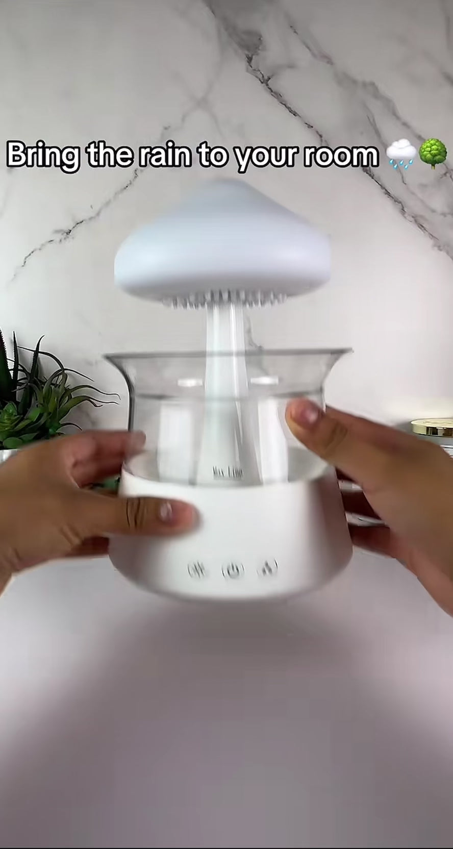 The raining cloud humidifier